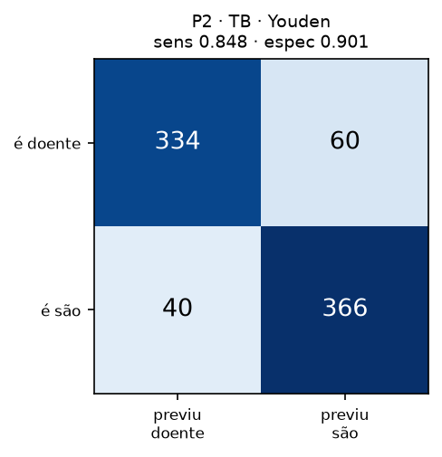 p2_tb_cv_imagenet_matriz.png